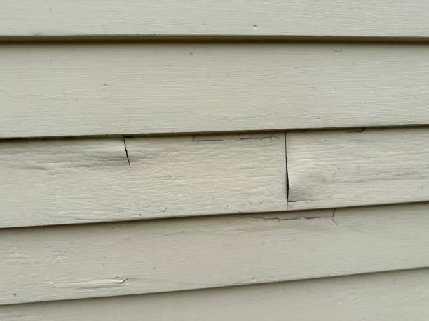 Best Siding for New Construction  in Renovo, PA